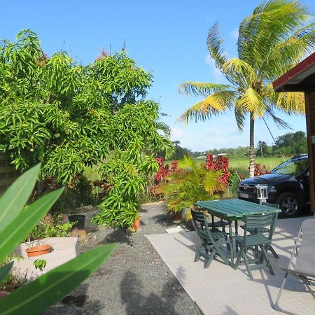 Bungalow Des Paletuviers Morne-a-l'Eau ภายนอก รูปภาพ