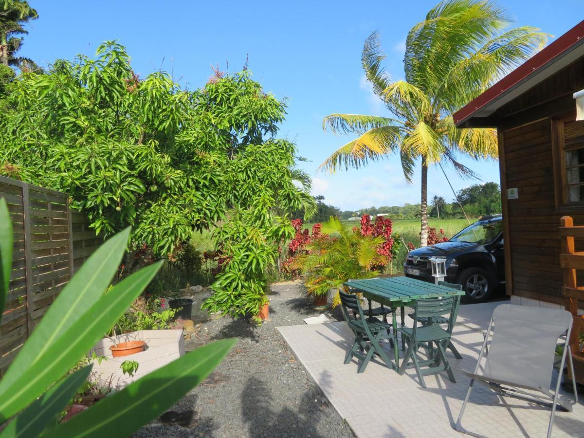 Bungalow Des Paletuviers Morne-a-l'Eau ภายนอก รูปภาพ