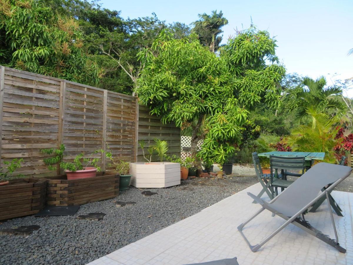 Bungalow Des Paletuviers Morne-a-l'Eau ภายนอก รูปภาพ