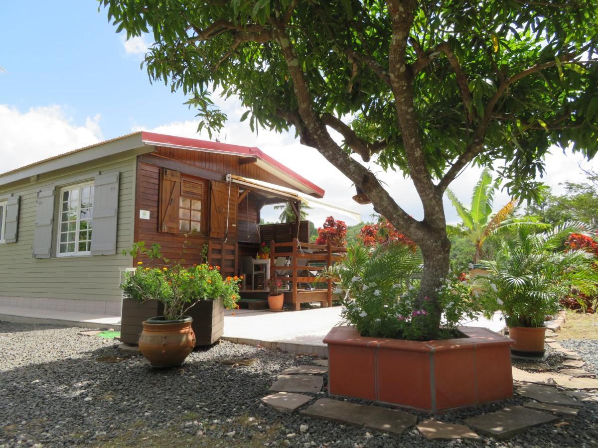 Bungalow Des Paletuviers Morne-a-l'Eau ภายนอก รูปภาพ
